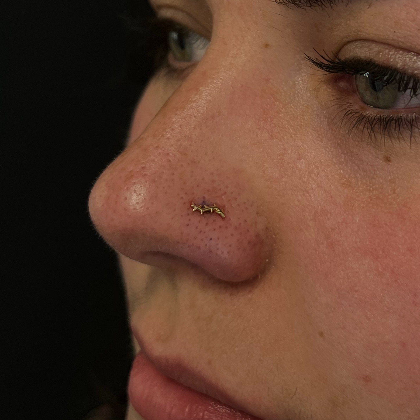 Nostril (Nose) Piercing Appointment