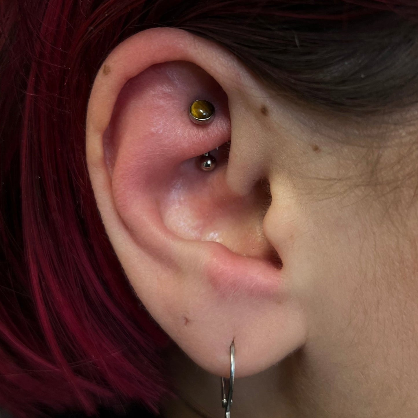 Rook Piercing Appointment
