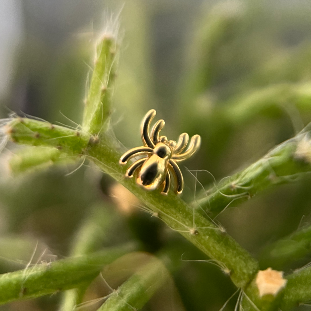 Gold Spider, Threadless