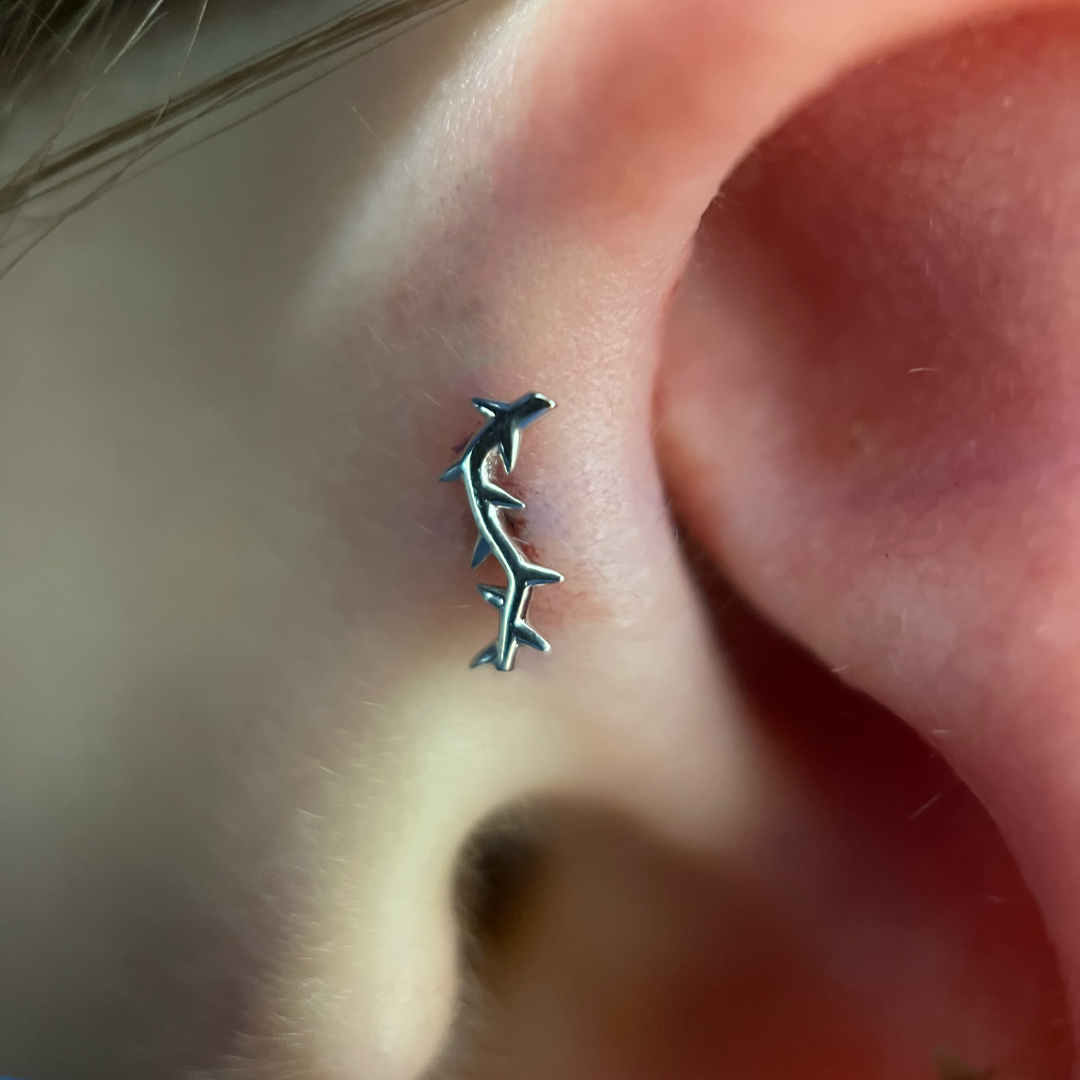 Forward Helix Piercing Appointment