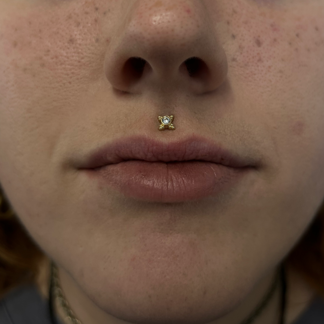 Lip Piercing Appointment