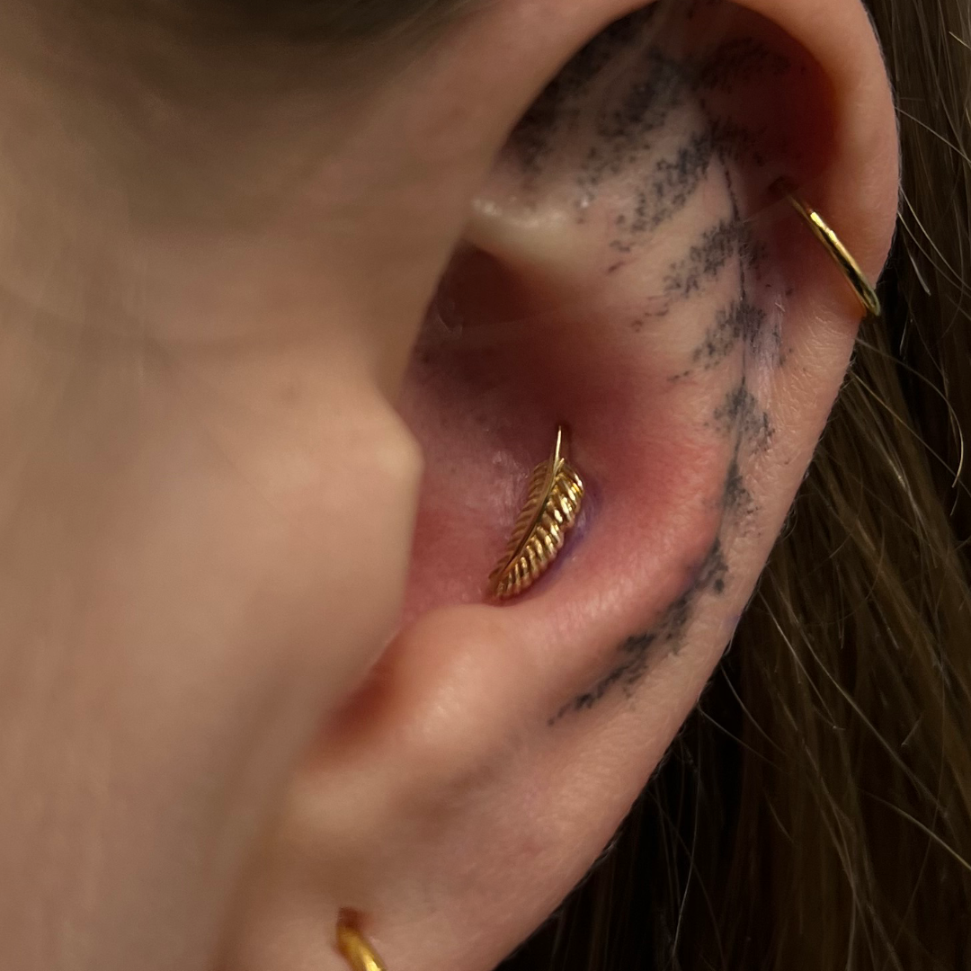 Conch Piercing Appointment