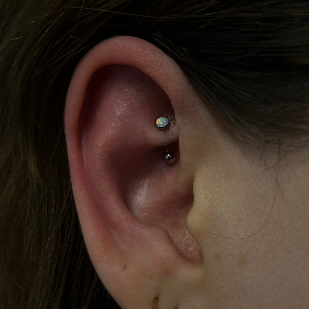 Rook Piercing Appointment