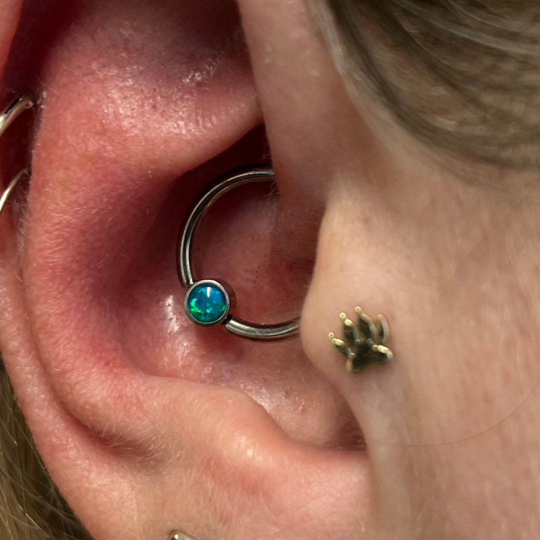 Daith Piercing Appointment