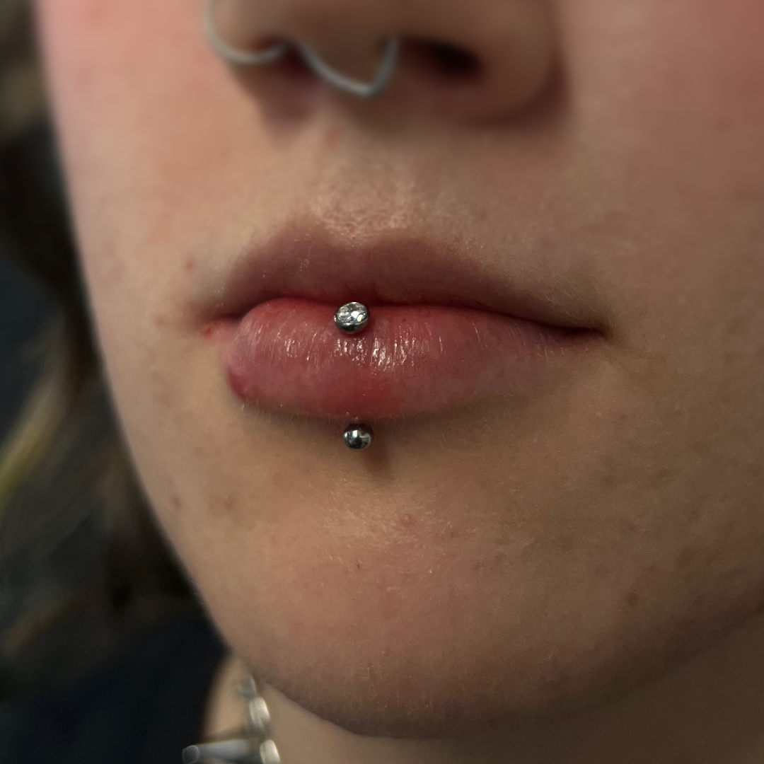 Vertical Labret Piercing Appointment