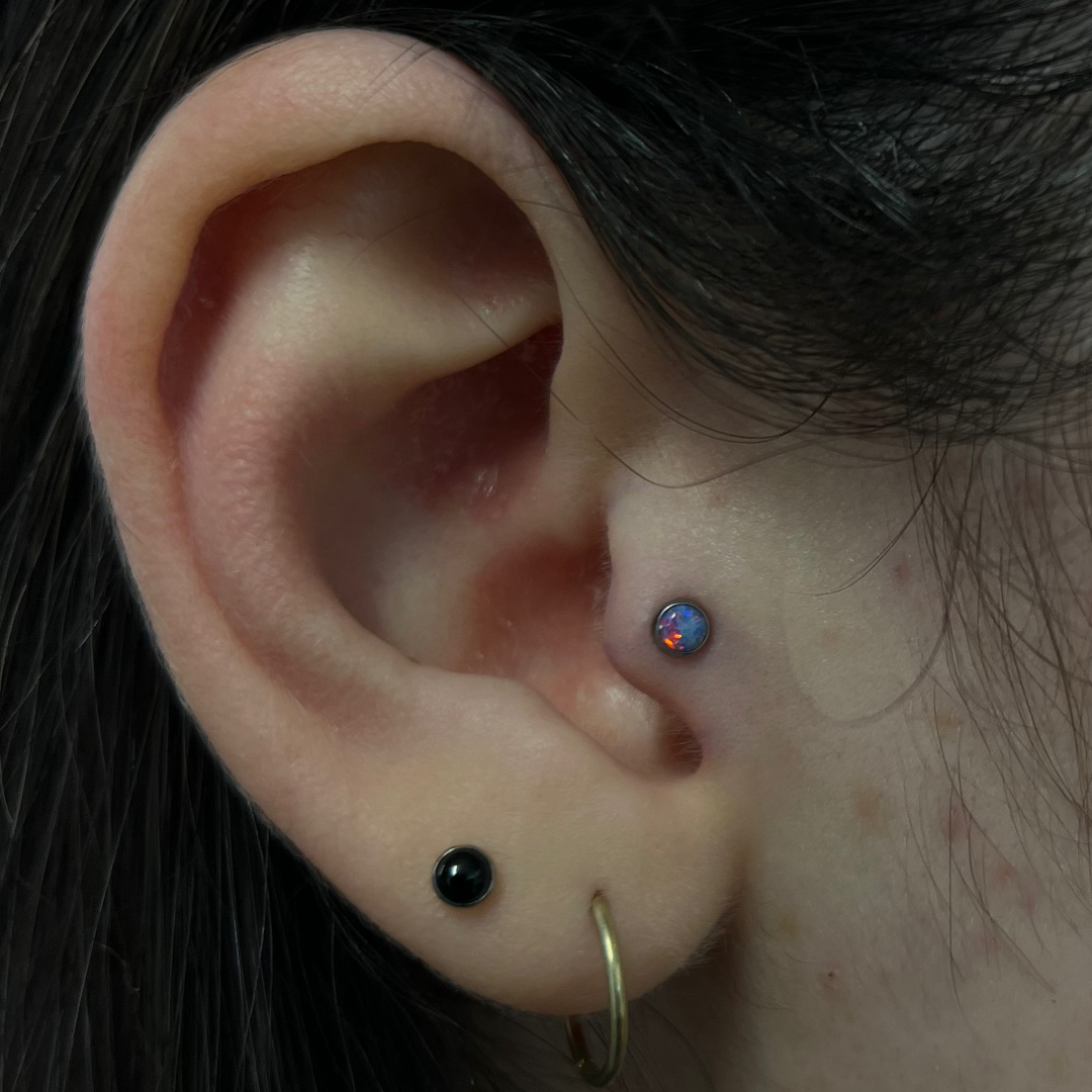 Tragus Piercing Appointment