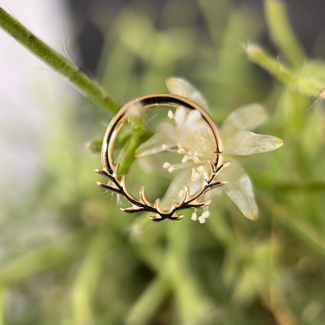 Raven Seam Ring