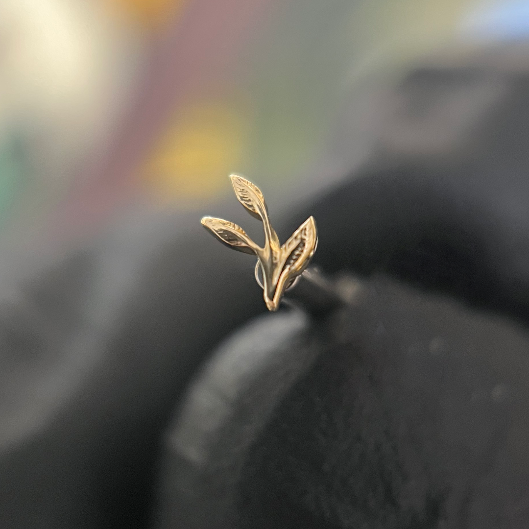 Gold Ashe, Threadless